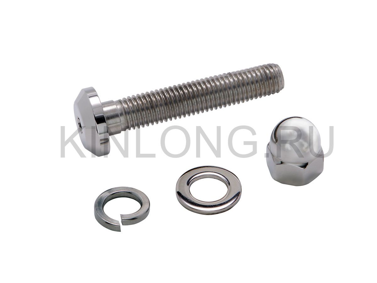 03 Z15-100 Болт М18х100 внутр. шестигранник, AISI 316, PSS KINLONG